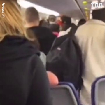 Une bagarre éclate en plein vol entre un passager et le pilote d’un avion
