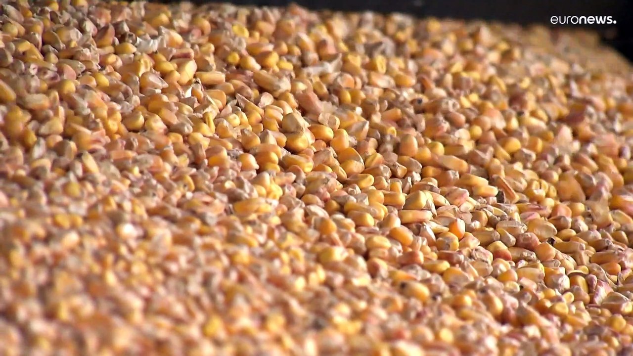 Lebensmittelpreise: Ungarn spürt die Folgen des Ukraine-Kriegs