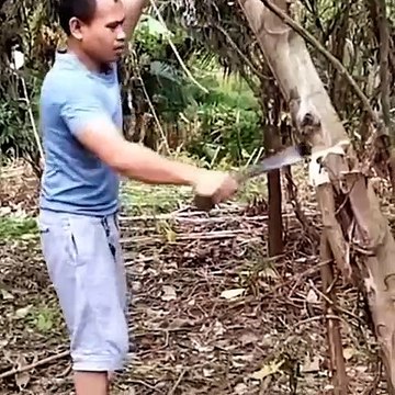 Peritiwa peristiwa mengerikan yang sempat terekam kamera(The horrific events that were caught on camera)