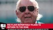 Ric Flair Will Reportedly Return to the Wrestler Ring