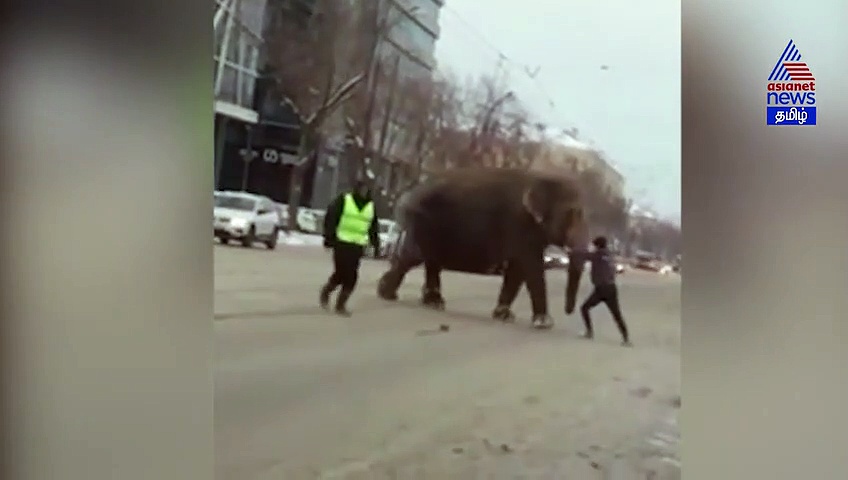 குழந்தை போல் விளையாடிய யானை..வைரலாகும் வீடியோ..!