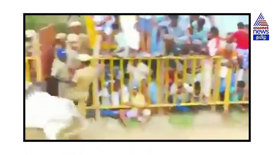 போலீசை தெறிக்கவிட்ட ஜல்லிக்கட்டு காளை.. துண்ட காணோம் துணிய காணோம்னு ஓட்டம்..! வைரல் வீடியோ