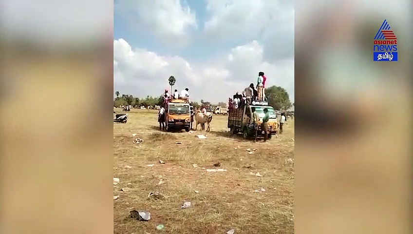 குழந்தையுடன் தாயைக் கண்டதும் தாண்டிச் சென்ற காளை.. இணையத்தில் வைரலாகும் வீடியோ..!