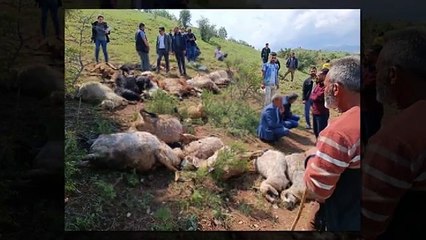 Çoban kafasını gökyüzüne kaldırınca dehşete düştü! Kaşla göz arasında tüm koyun sürüsü küle döndü