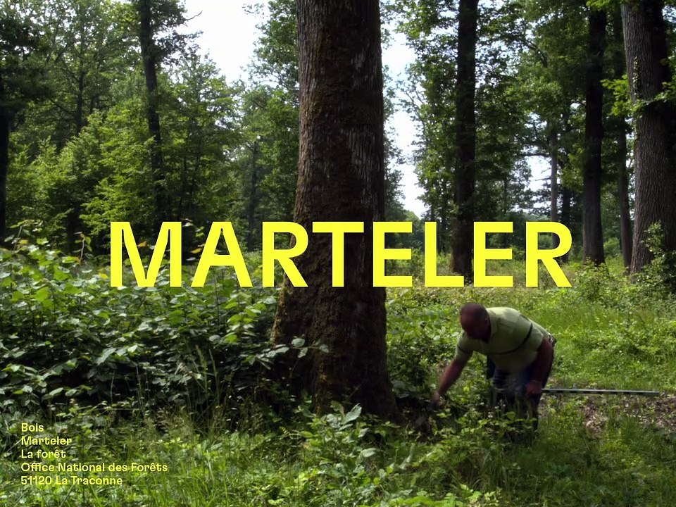 BOIS / MARTELER / Ressources. Filmer la matière, révéler les savoir-faire