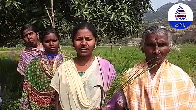 அட்டகாசம் செய்த காட்டு யானைகள்... கலங்கி நிற்கும் விவசாயிகள்..வீடியோ உள்ளே