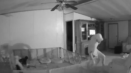 'Ring Camera catches man almost messing up his dogs' playpen while drunk walking'