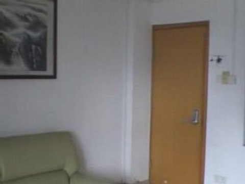 Walkera Dragonfly 4#3 RC Helicopter