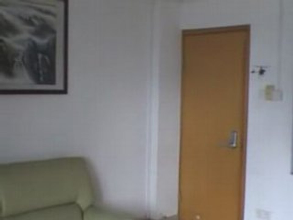 Walkera Dragonfly 4#3 RC Helicopter