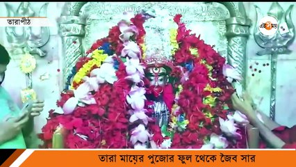 তারাপীঠ মায়ের পুজোর ফুল থেকে জৈব সার N