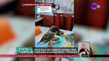 Salo-salo ng pamilya kasama ang kanilang alagang maya, pinusuan | SONA