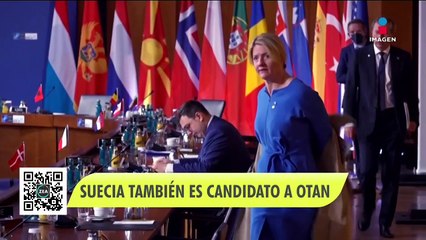 Finlandia confirma candidatura a la OTAN