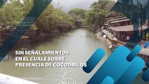 Faltan señalamientos preventivos sobre la presencia de cocodrilos | CPS Noticias Puerto Vallarta