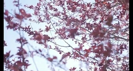 CARA UPLOAD PODCAST KE SPOTIFY LEWAT RSS.COM _ E4 S1 _ #TUTORIAL #MULAIAJADULU #CARABIKINPODCAST