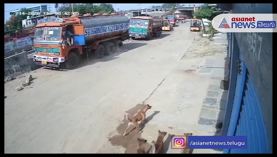 చిరుత లారీ డ్రైవర్ పై ఇలా దాడి చేసి.. అలా పారిపోయింది..