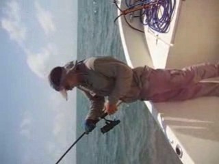 Carangue des Bijagos et une canne au bord de la rupture