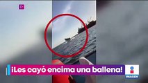 VIDEO: Ballena salta y golpea una embarcación en Sinaloa