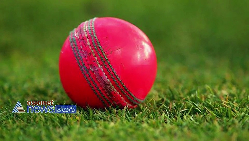 భారత్ తొలి డే నైట్ టెస్ట్: పింక్ బాల్ గురించి తెలుసుకోవాల్సిన అంశాలు