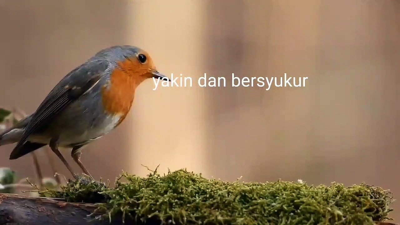 Jalan kehidupan