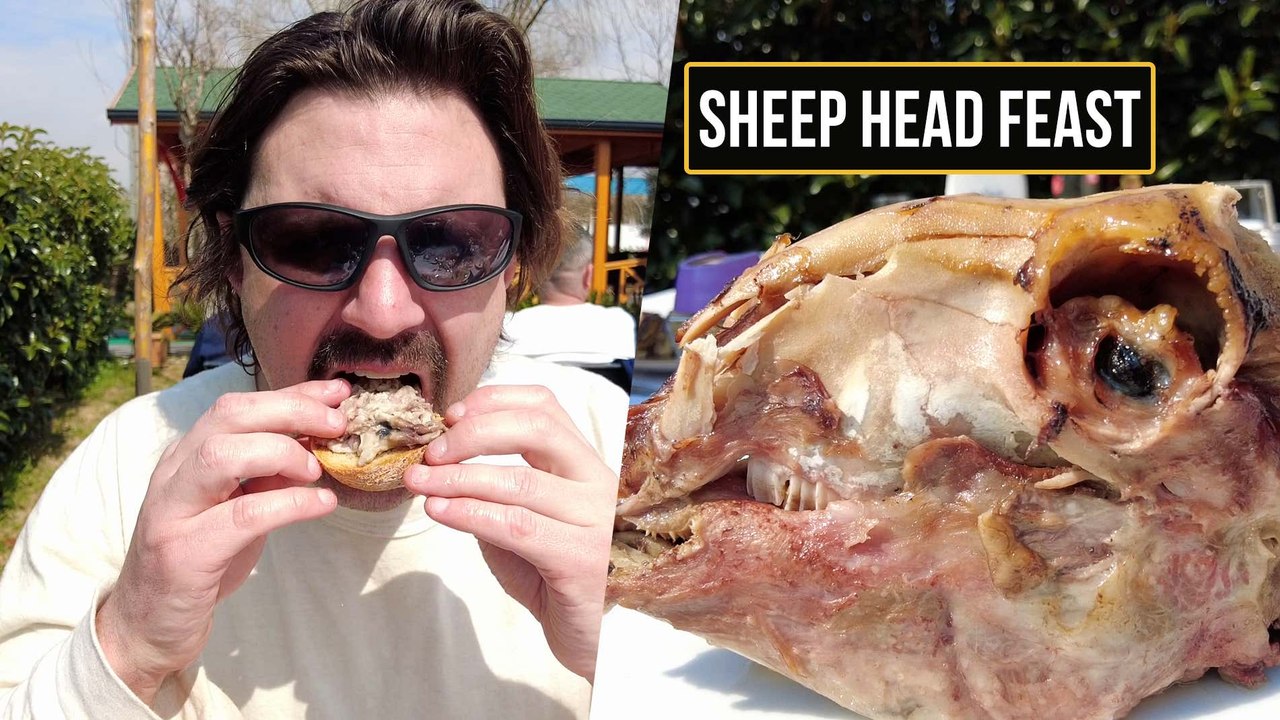 Getting Head (From a Sheep) | Whoa! That's Weird