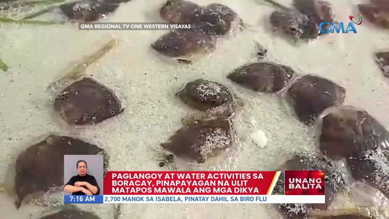 Paglangoy at water activities sa Boracay, pinapayagan na ulit matapos mawala ang mga dikya | UB