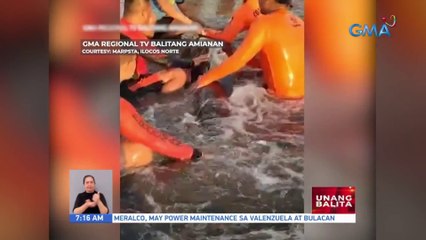Sugatang dolphin, nasagip at ibinalik sa dagat | UB