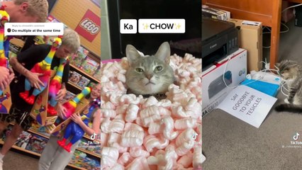 TikToks So Funny They Belong In Prison (2)