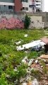 Lixo, mau cheiro e violência: Terreno abandonado preocupa moradores no bairro Parquelândia