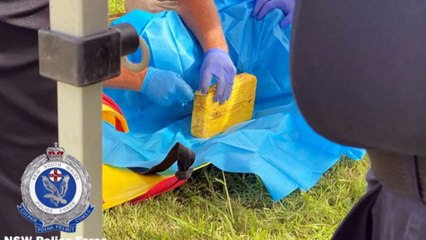 NSW Police granted new powers to tackle drug crime