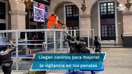 Dona Embajada de Estados Unidos binomios caninos a penales del EDOMEX
