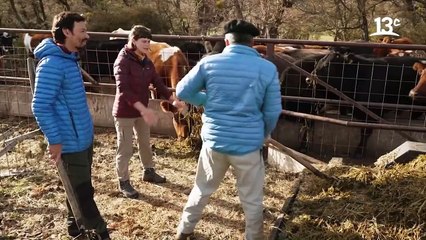 Alimentando las vacas en Villa Cerro Castillo _ Sueños de Patagonia