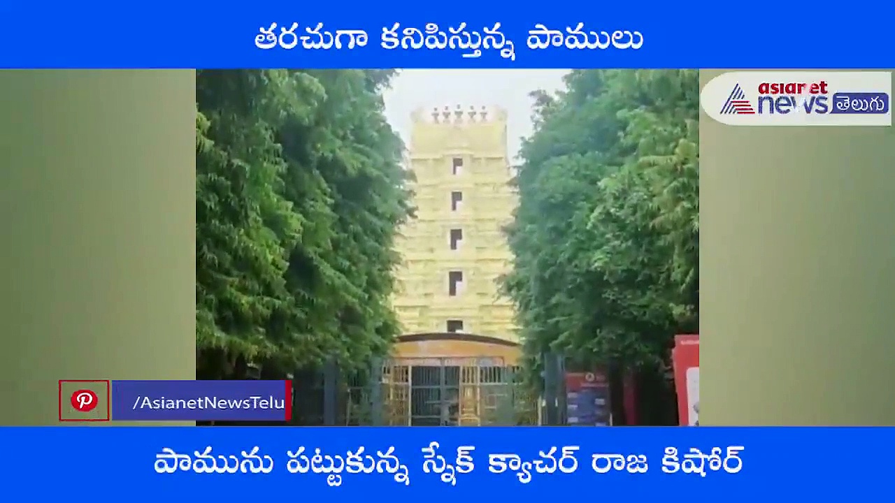 శ్రీశైలం విరాళం కౌంటర్ లో పాము.. భయాందోళనల్లో భక్తులు..