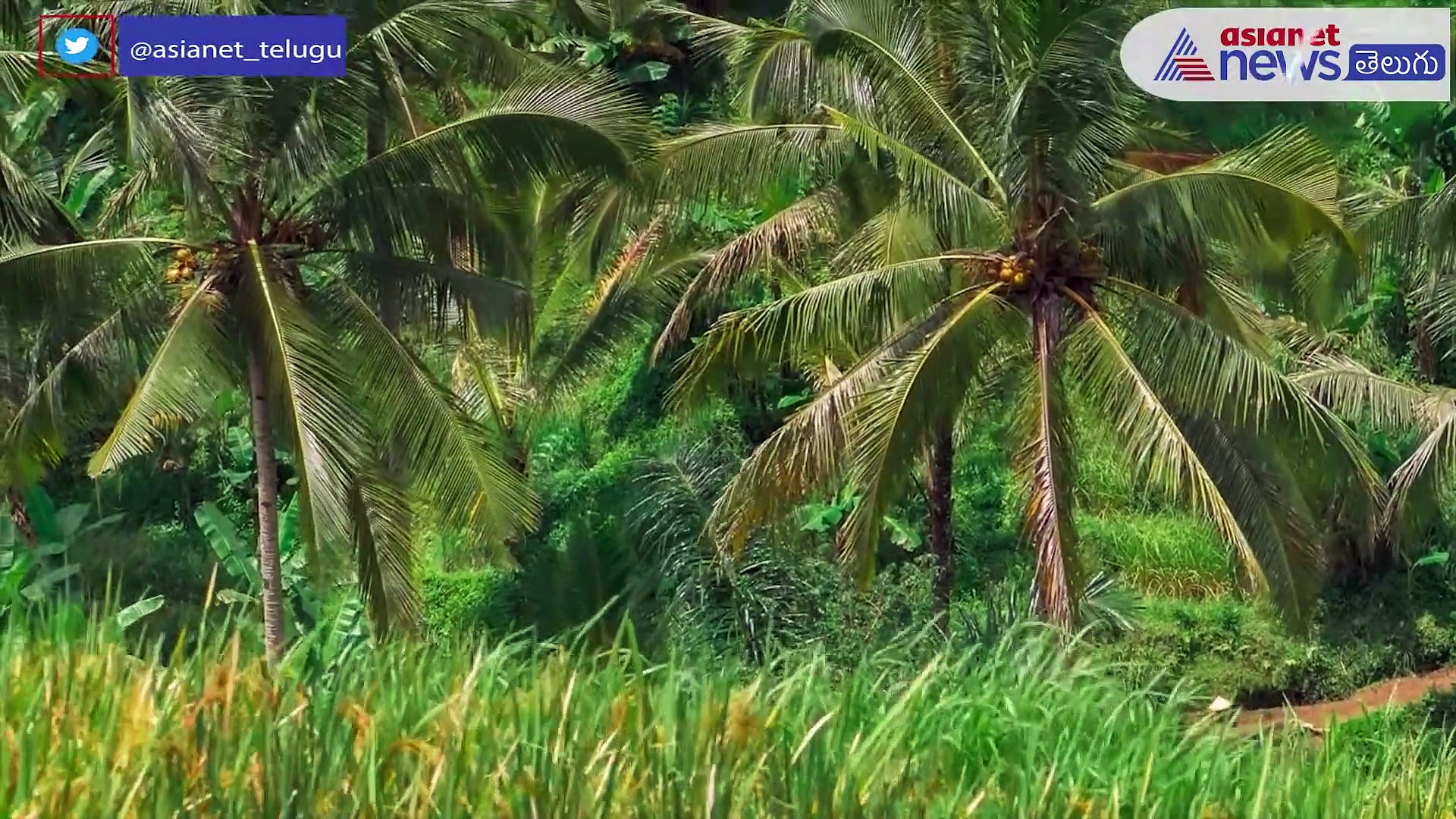 కోనసీమ గురించి మీకు తెలియని ఆశ్చర్యపోయే నిజాలు...