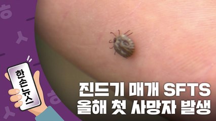 [한손뉴스] 진드기 매개 SFTS 올해 첫 사망자 발생...조심하세요 / YTN