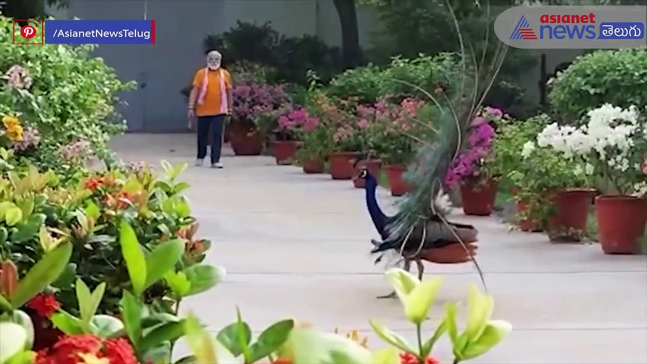 70వ పడిలో అడుగు పెట్టిన మోడీ