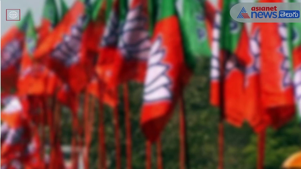 వేటు పడిన బిజెపి నేత  రాసలీలల వీడియో ఇదే (చూడండి)