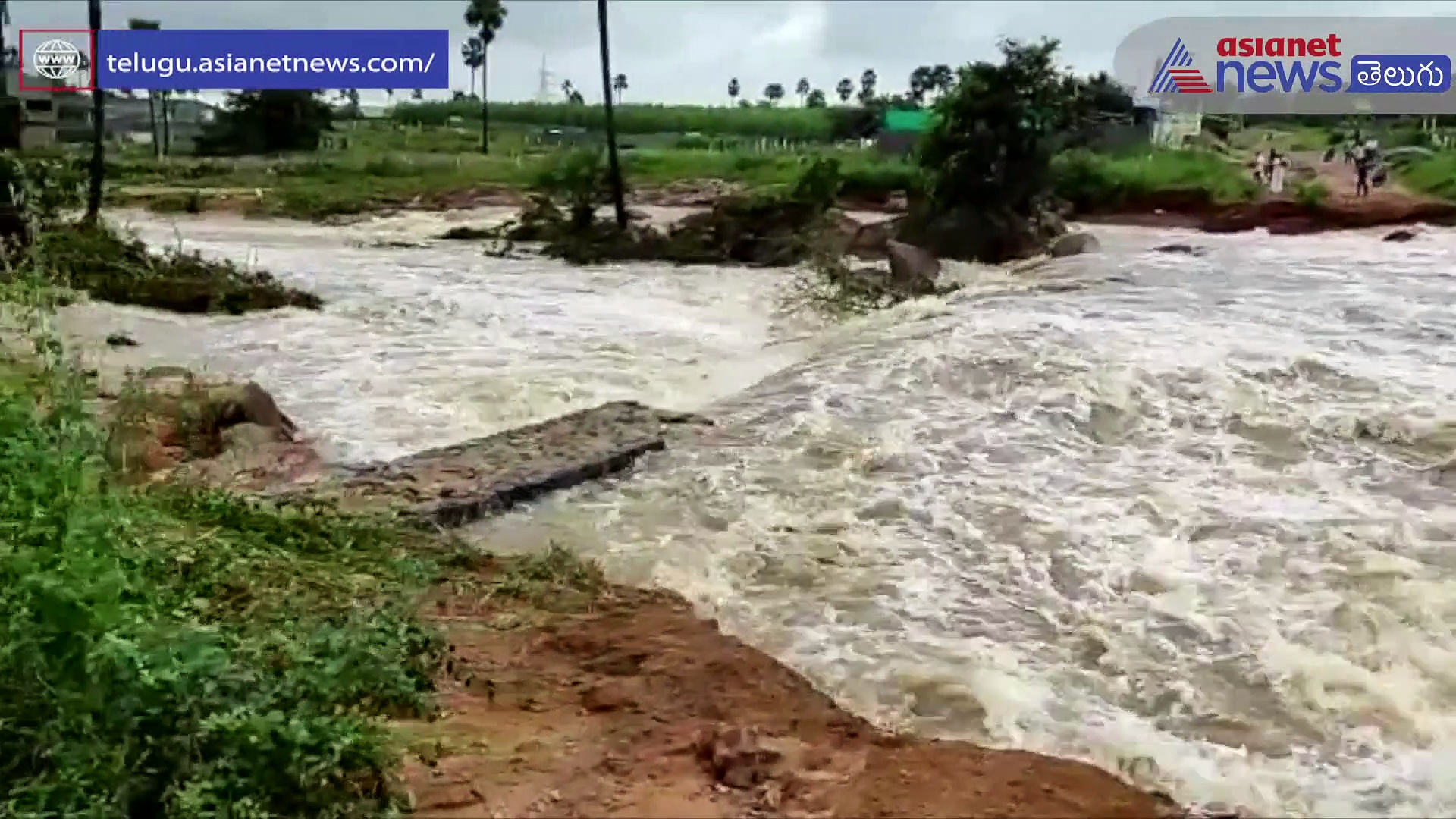 వణికిస్తున్న చెరువులు.. తెగడానికి సిద్ధంగా వంద జలాశయాలు...