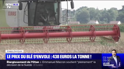 Avec 438 euros la tonne, le prix du blé s'envole et bat un record