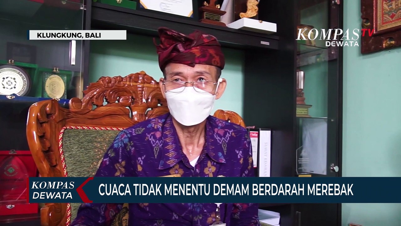 Cuaca Tidak Menentu Demam Berdarah Merebak