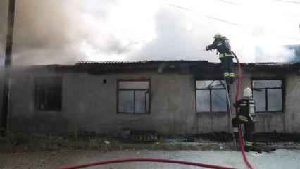 Son dakika haberi... Kereste fabrikasında çıkan yangın büyümeden söndürüldü