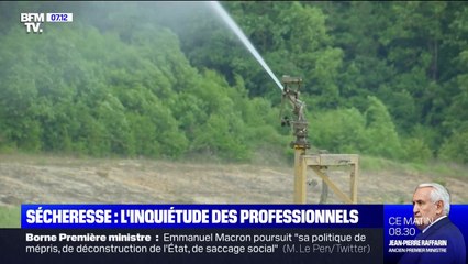 Sécheresse: l'inquiétude des professionnels