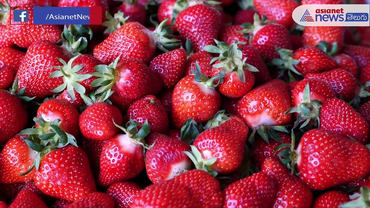 చలికాలంలో ఉసిరి తినడం వల్ల కలిగే లాభాలు తెలిస్తే షాకవుతారు