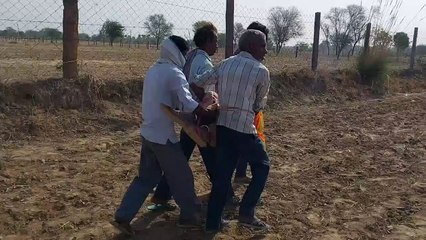 दौसा. मवेशी के लिए चारा लेने गई महिला का शव खेत में मिलने से मचा हड़कम्प