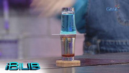 iBilib: Oil and water experiment | Prove It To Believe It