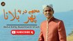 Mujhe Dar Pe Phir Bulana | Naat | Abdul Rafay Naqshbandi Shazli | HD Video