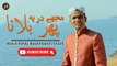 Mujhe Dar Pe Phir Bulana | Naat | Abdul Rafay Naqshbandi Shazli | HD Video