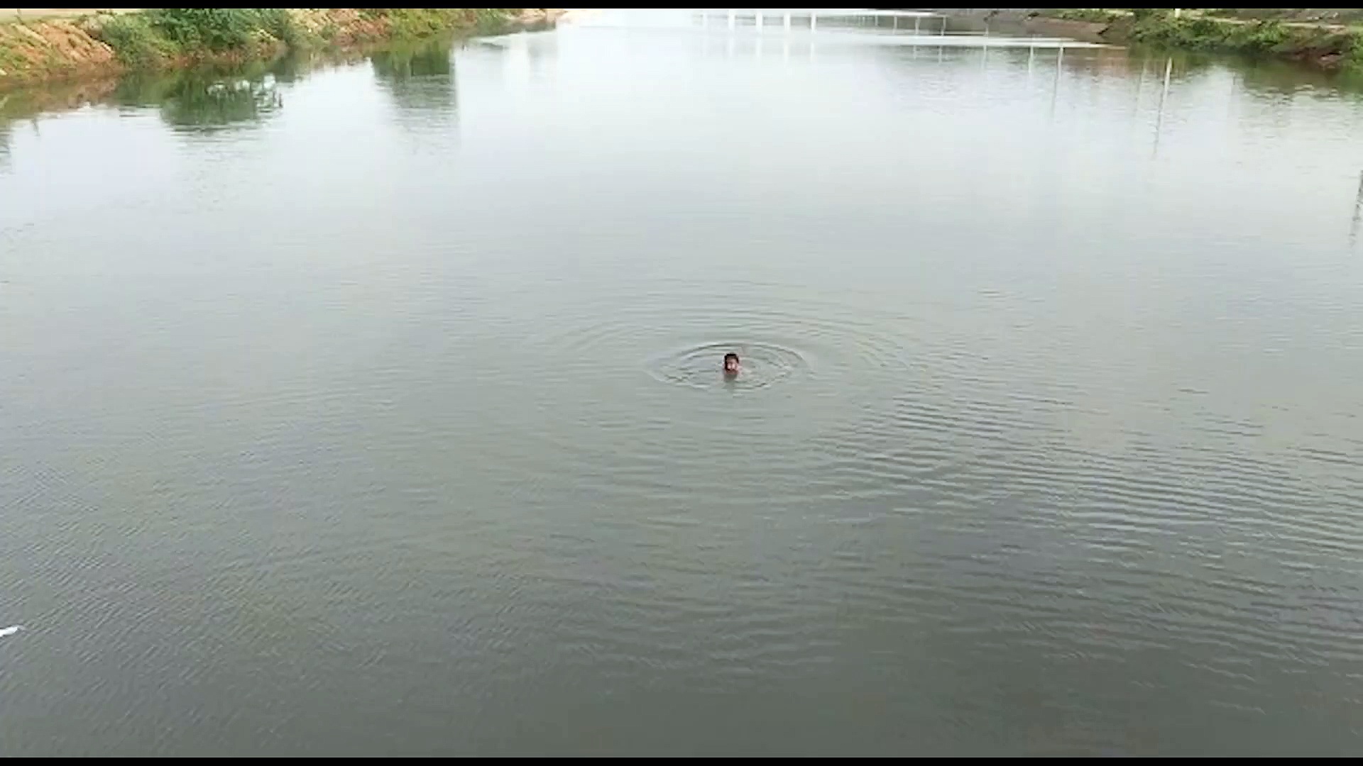 స్కూటీపై వచ్చి... అందరూ చూస్తుండగానే వరద కాలువలో దూకి యువకుడి ఆత్మహత్య