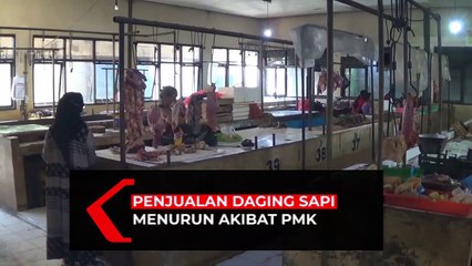 Download Video: Penjualan Daging Sapi Menurun Akibat Wabah PMK