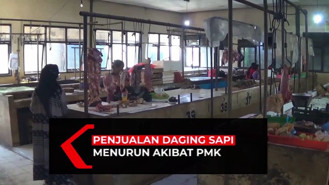 Penjualan Daging Sapi Menurun Akibat Wabah PMK