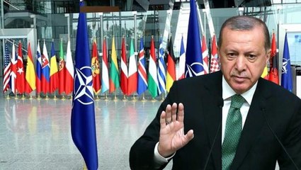 Türkiye'ye gelmeyi planlayan İsveç ve Finlandiya heyetinin çantasında iki teklif olacak